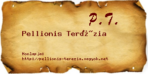 Pellionis Terézia névjegykártya